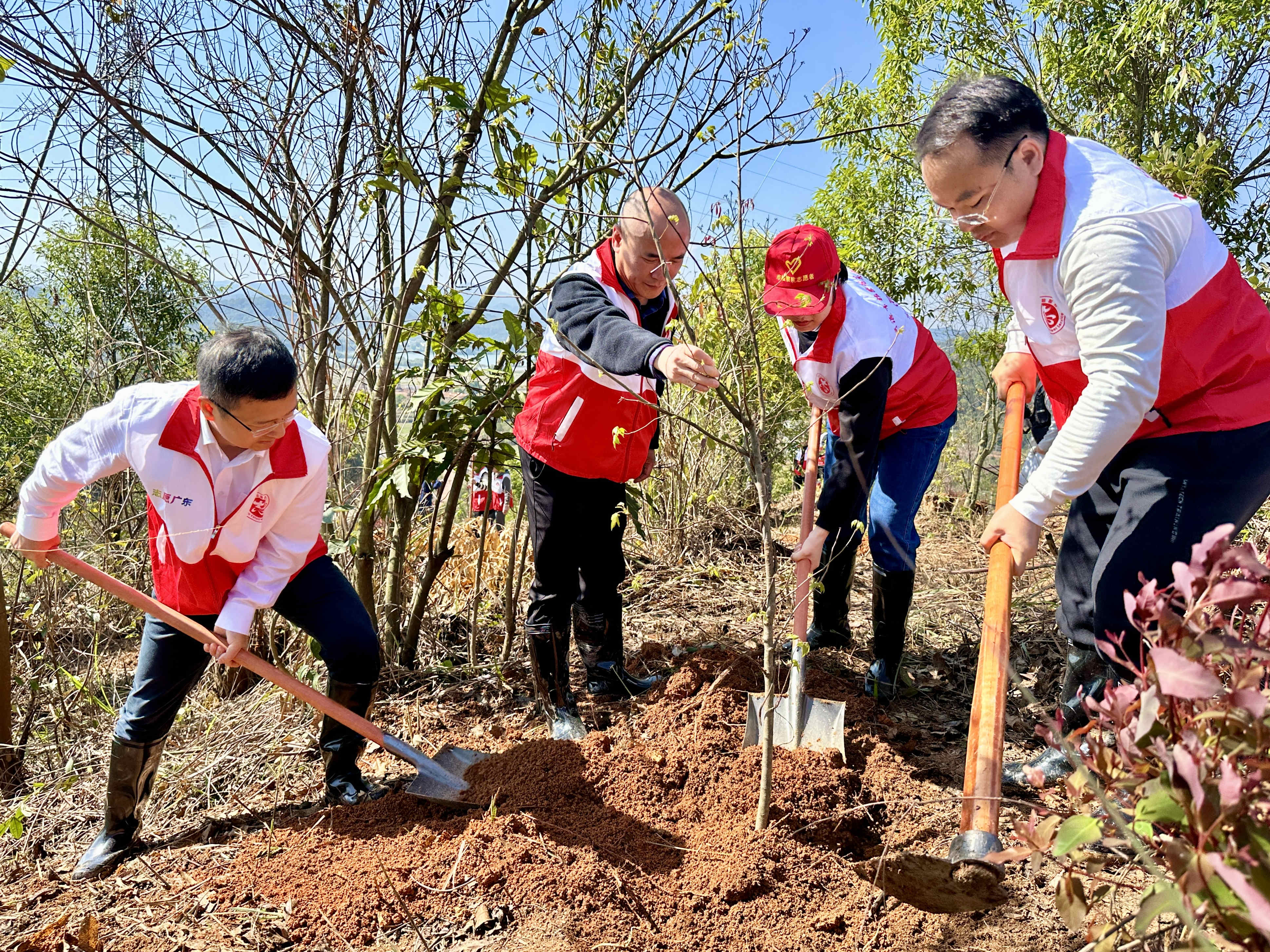 1710294270519289.jpg 2.jpg