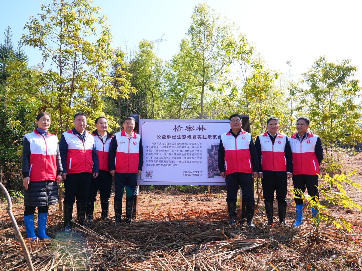 1710300688832221.jpg 1.jpg